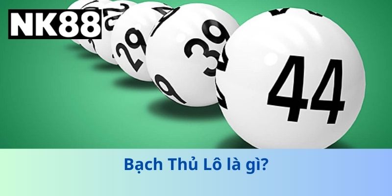 Bạch Thủ Lô Là Gì? Chiến Thuật Một Lô Dễ Thắng Nhất