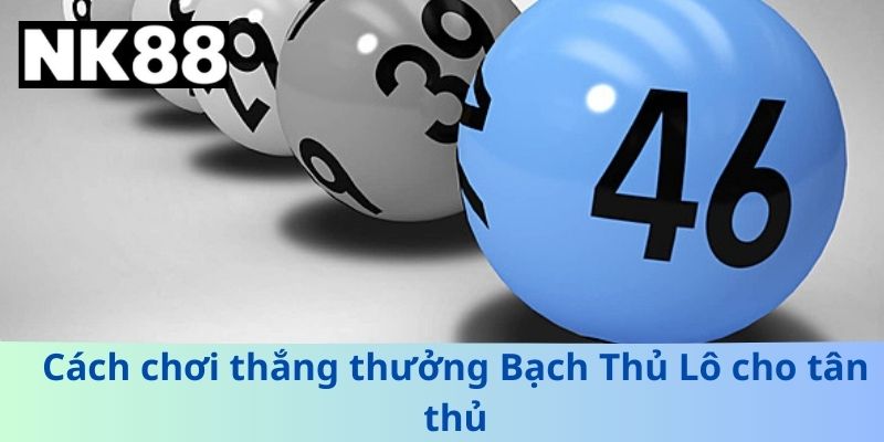 Bạch Thủ Lô Là Gì? Chiến Thuật Một Lô Dễ Thắng Nhất