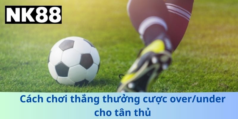Cược Over/Under – Hướng Dẫn Chơi Chi Tiết Cho Người Mới
