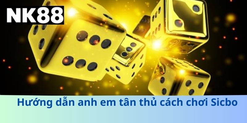 Sicbo – Trò Chơi Xúc Xắc 2026 Hấp Dẫn Dành Cho Người Mới